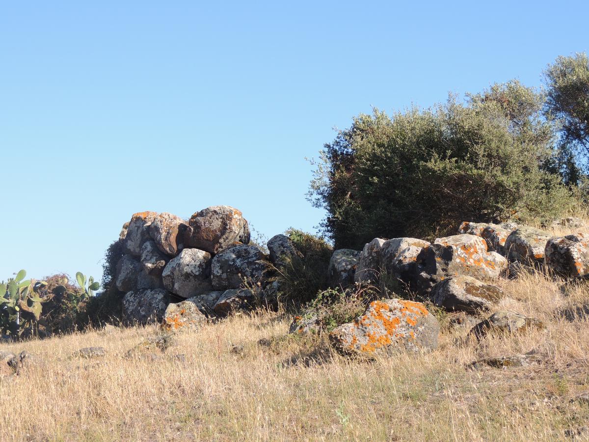 Il Nuraghe Bed and Breakfast Uras Εξωτερικό φωτογραφία